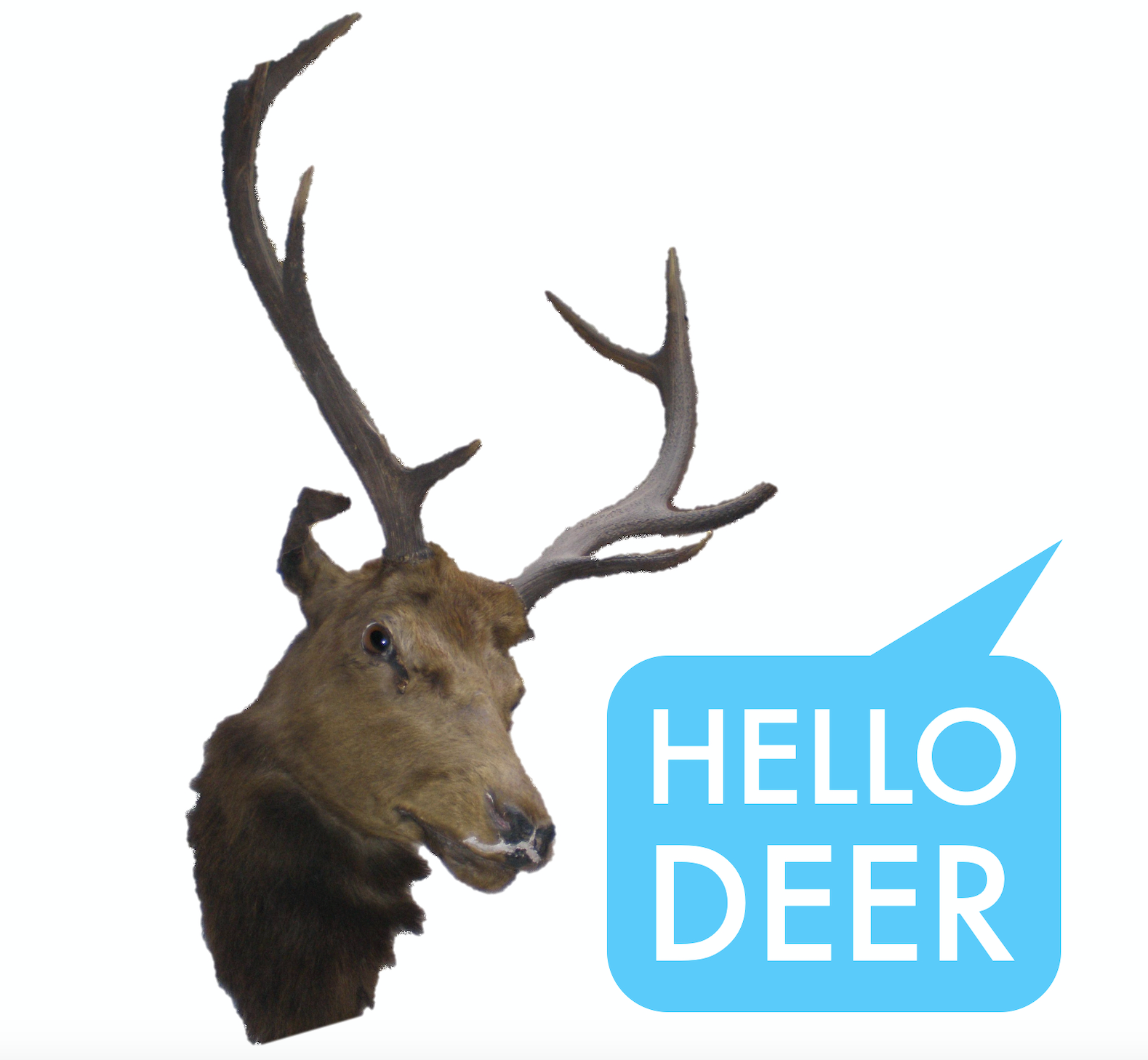 Hello Deer